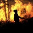 Quase 2. 800 operacionais combatiam de madrugada os cinco maiores fogos