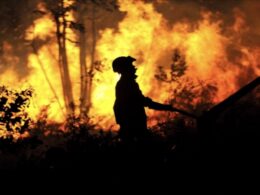 Quase 2. 800 operacionais combatiam de madrugada os cinco maiores fogos