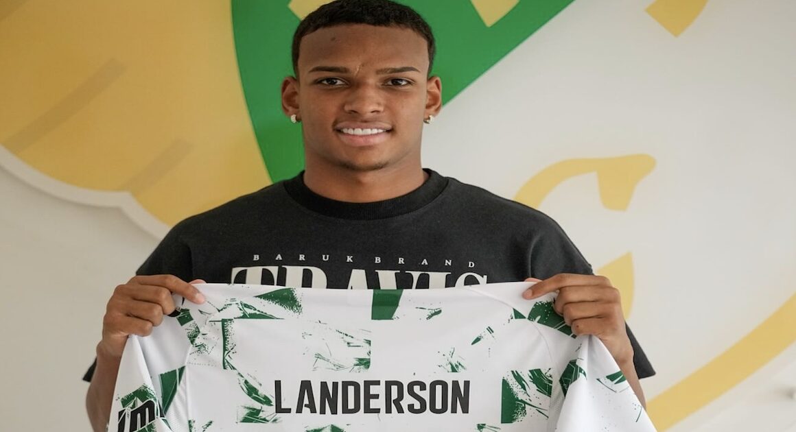 Avançado brasileiro landerson reforça moreirense