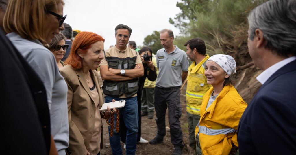 Ministra do ambiente elogia salvação das matas de albergaria, palheiros e cabril 9 Ministra do ambiente elogia salvação das matas de albergaria, palheiros e cabril
