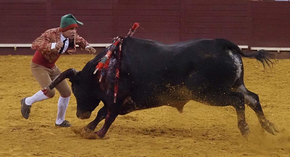 Jovem forcado morre após ser colhido no campo pequeno