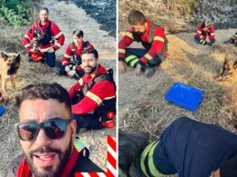 Bombeiros da trofa salvaram cão cercado por incêndio (e ele nunca mais os largou)