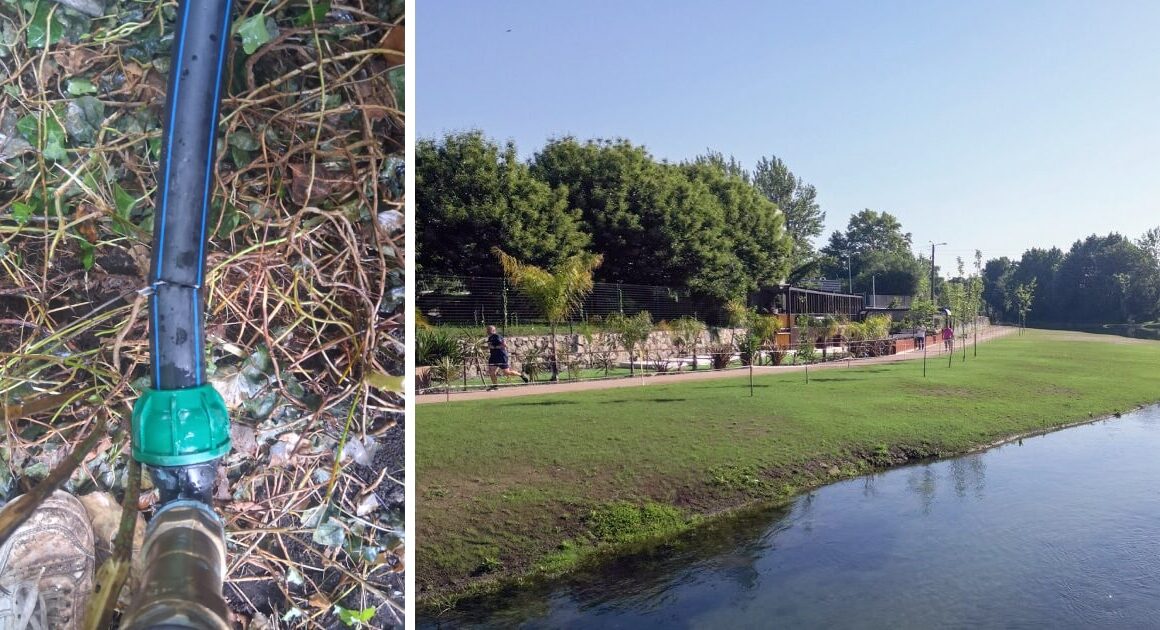 Cortaram os tubos de rega de praia fluvial em vila verde: "ato de vandalismo"