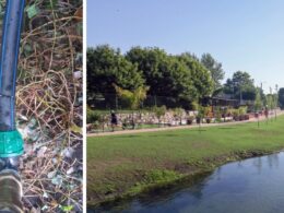 Cortaram os tubos de rega de praia fluvial em vila verde: "ato de vandalismo"