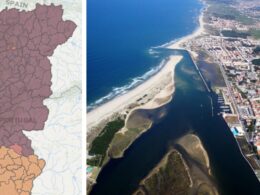 Esposende é o único concelho do país com risco de incêndio "reduzido"