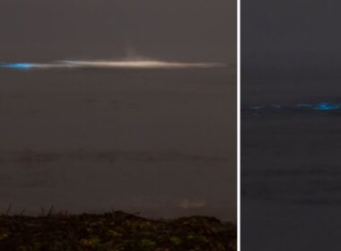 Mar de vila do conde com ondas azuis fluorescentes