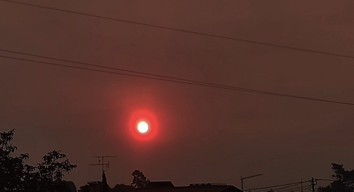 Trás-os-montes: autarca diz ser “muita coincidência” os grandes fogos em sabrosa