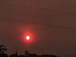 Incêndio obriga ao confinamento da população em aldeia da região centro