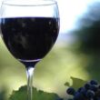Preço do vinho pode aumentar 30%