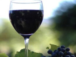 Preço do vinho pode aumentar 30%