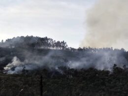 Vila verde: arde o monte em cervães