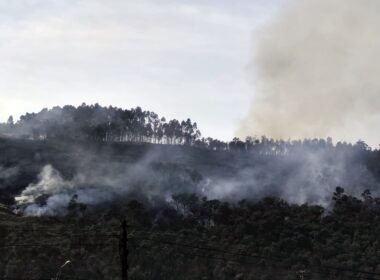 Vila verde: arde o monte em cervães. Bombeira ferida após queda