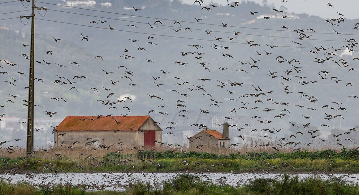 Municípios fazem adaptação climática a várias velocidades