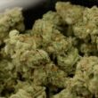 Condenada por tráfico de droga no brasil detida pela pj em trás-os-montes