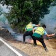 Gnr já apanhou 44 incendiários em flagrante e identificou 606 suspeitos