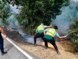 Gnr já apanhou 44 incendiários em flagrante e identificou 606 suspeitos