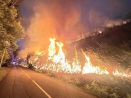 Advogados vão dar apoio jurídico gratuito a populações afetadas pelos incêndios