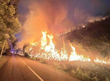 Advogados vão dar apoio jurídico gratuito a populações afetadas pelos incêndios