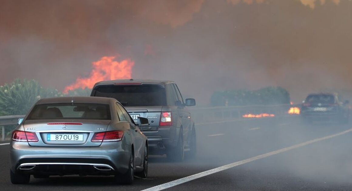 Bruxelas indica que aviões de combate a incêndios pedidos por portugal chegam no domingo