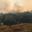 Interior norte e centro e algarve permanecem em risco máximo de incêndio