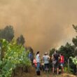Autarca de celorico de basto suspeita de mão criminosa na "maior parte" dos incêndios no concelho