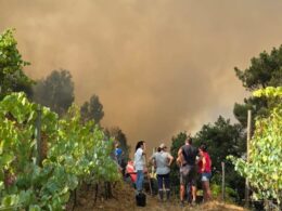 Autarca de celorico de basto suspeita de mão criminosa na "maior parte" dos incêndios no concelho