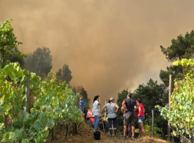Autarca de celorico de basto suspeita de mão criminosa na "maior parte" dos incêndios no concelho