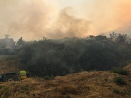 Interior norte e centro e algarve permanecem em risco máximo de incêndio