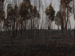 Bombeira de fafe ferida em incêndio que obrigou ao corte da a7