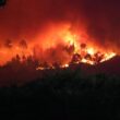 Incêndios: governo diz que "ainda não foi necessário acionar” mecanismo europeu