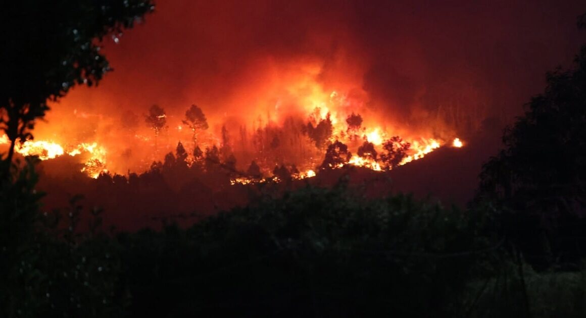 Incêndios: governo diz que "ainda não foi necessário acionar” mecanismo europeu