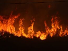 Incêndios em celorico de basto, fafe e arcos de valdevez deverão ser dominados durante o dia