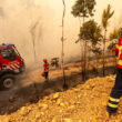 Continente oferece bens essenciais aos bombeiros e populações afetadas pelos incêndios