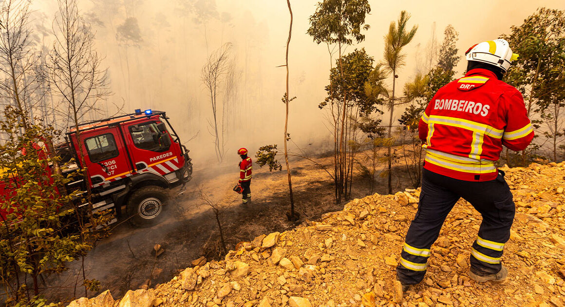 Continente oferece bens essenciais aos bombeiros e populações afetadas pelos incêndios
