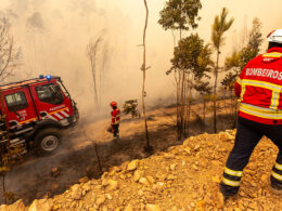 Continente oferece bens essenciais aos bombeiros e populações afetadas pelos incêndios