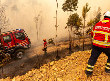 Continente oferece bens essenciais aos bombeiros e populações afetadas pelos incêndios
