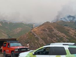Cerca de 3. 000 hectares de área ardida em mondim de basto e vila real