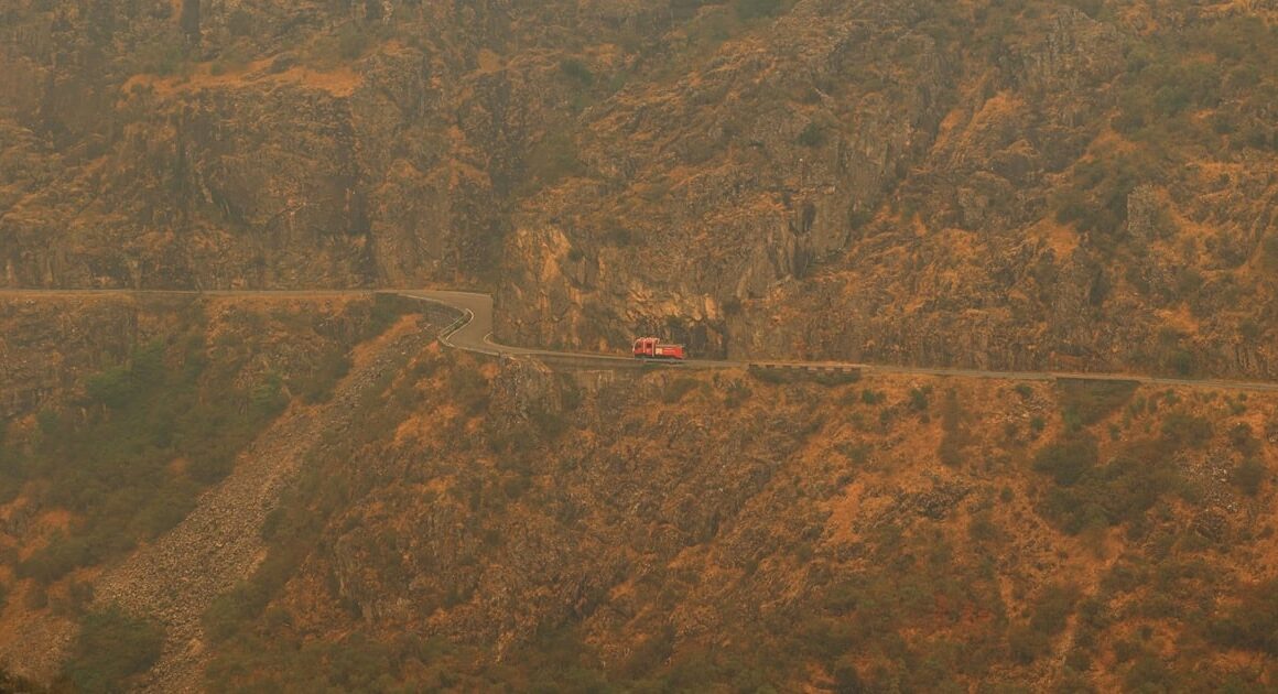 "não podemos estar só a assistir ao fogo avançar, quando a serra toda arder a situação está resolvida"