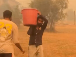 Brasileiros, nepaleses e indianos. Todos combatem incêndios em portugal