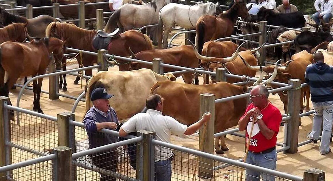 Feira de gado e três dias de música na fronteira de duas aldeias de montanha no alto minho
