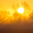 Alertas e conselhos das autoridades de saúde para riscos de onda de calor até dia 13