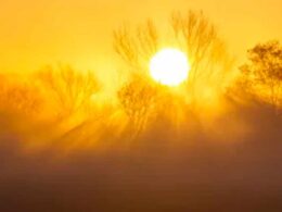 Alertas e conselhos das autoridades de saúde para riscos de onda de calor até dia 13