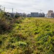 Fechado contrato para construir novo corredor verde com mais de 500 árvores em famalicão