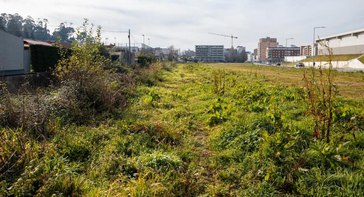 Fechado contrato para construir novo corredor verde com mais de 500 árvores em famalicão