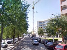 Guimarães abate três árvores de grande porte por questões de segurança