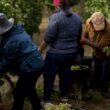 Douro em vindima com perspetiva de quebra na colheita e boa qualidade