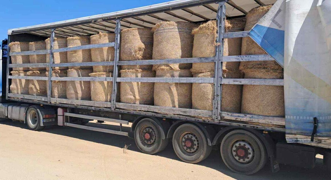 Ponte da barca já distribui rolos de feno para alimentar animais