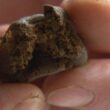 Jovem de 16 anos apanhado com 6. 000 doses de droga em santo tirso