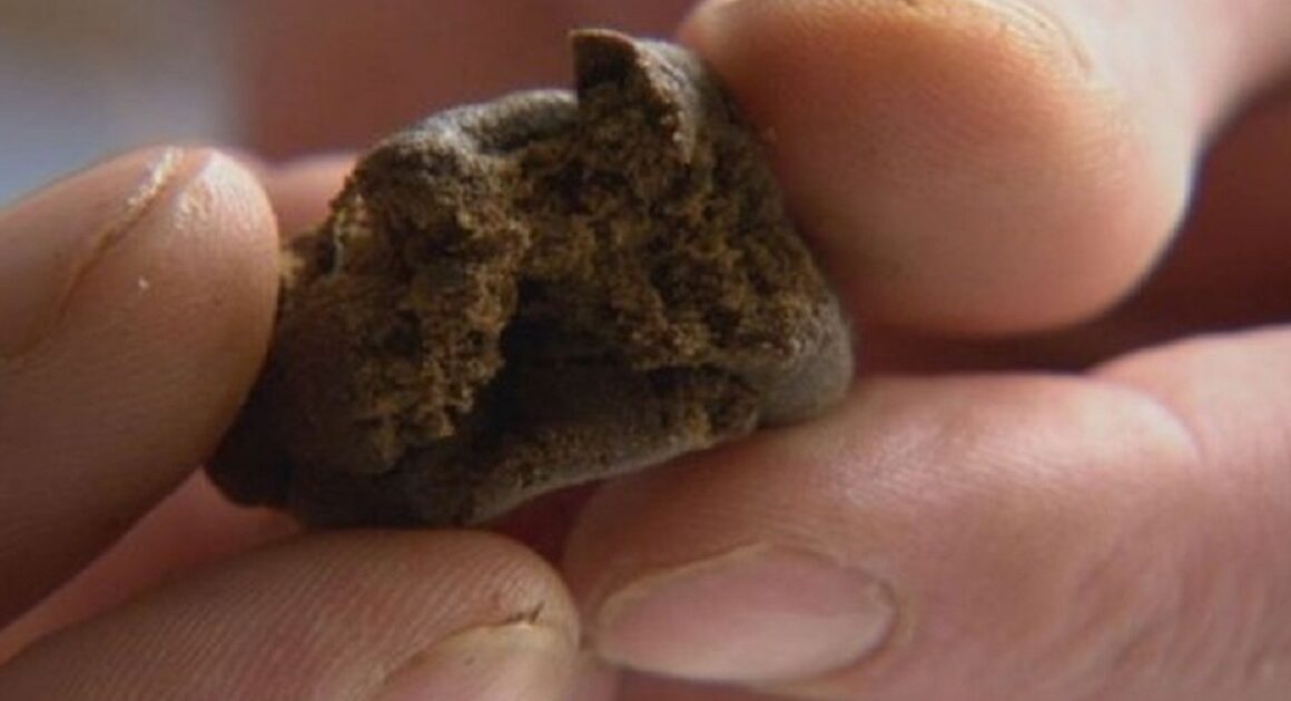 Jovem de 16 anos apanhado com 6. 000 doses de droga em santo tirso